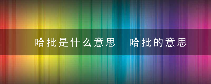 哈批是什么意思 哈批的意思